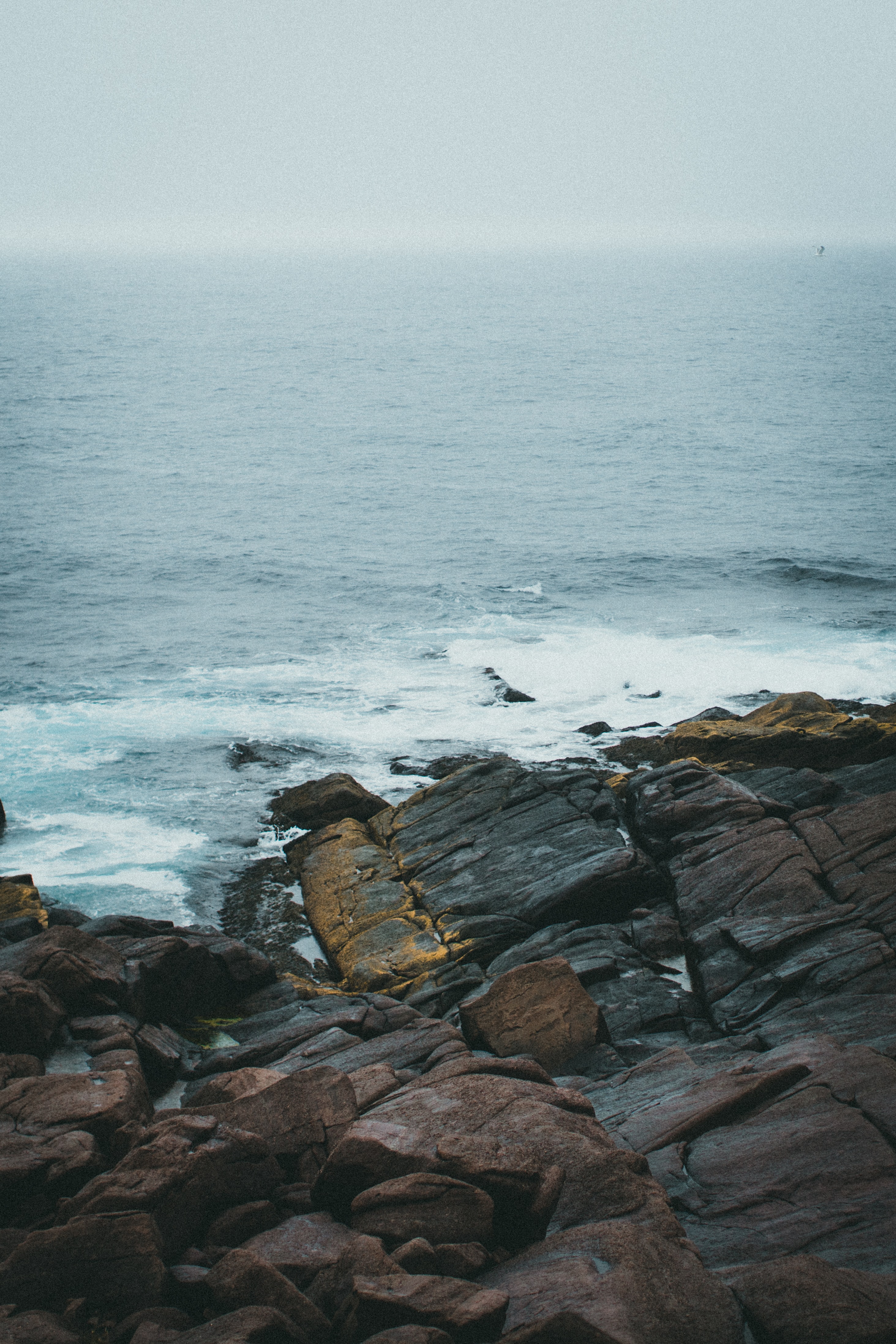 rock and sea